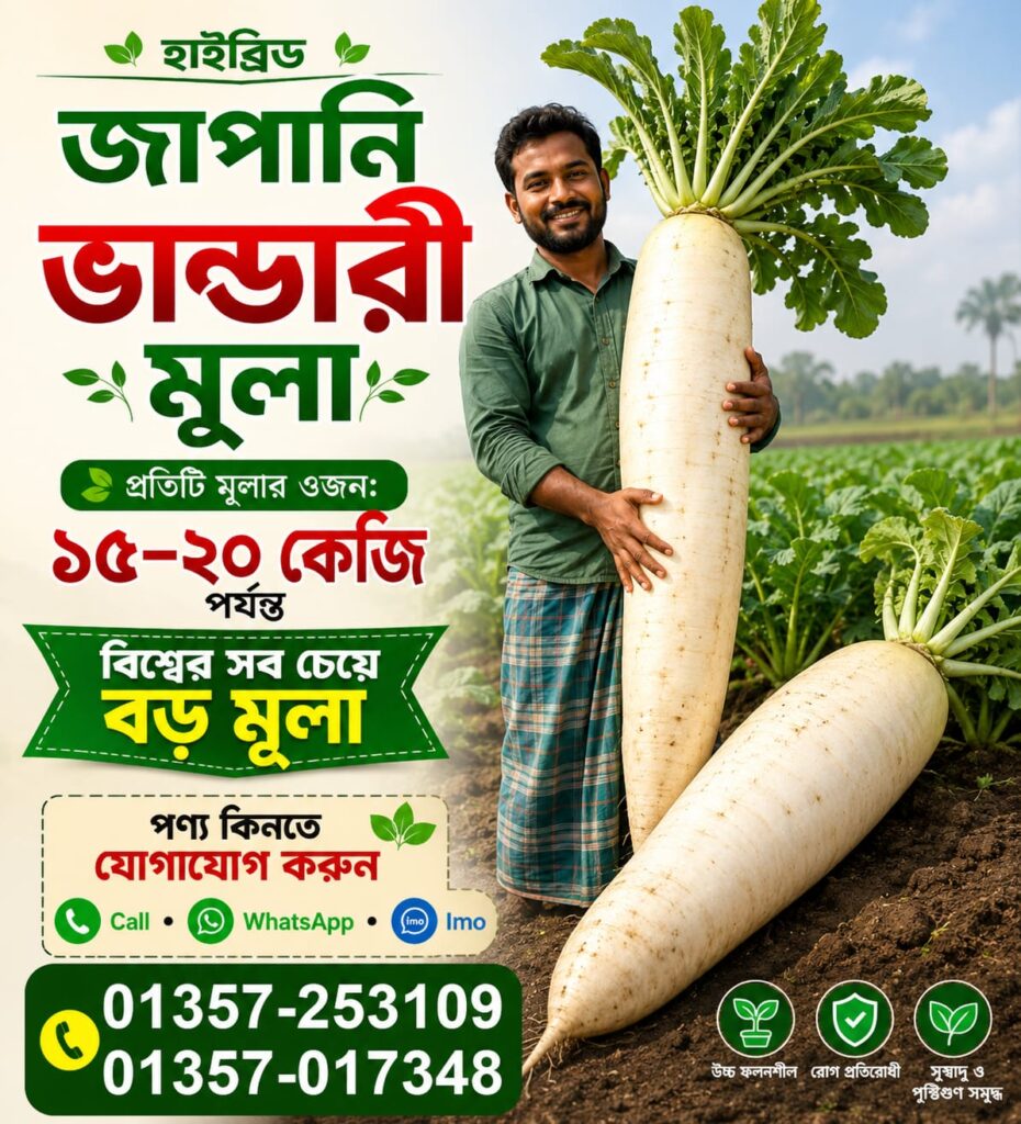 1 প্যাকেট ভান্ডারী মুলা 450 Tk