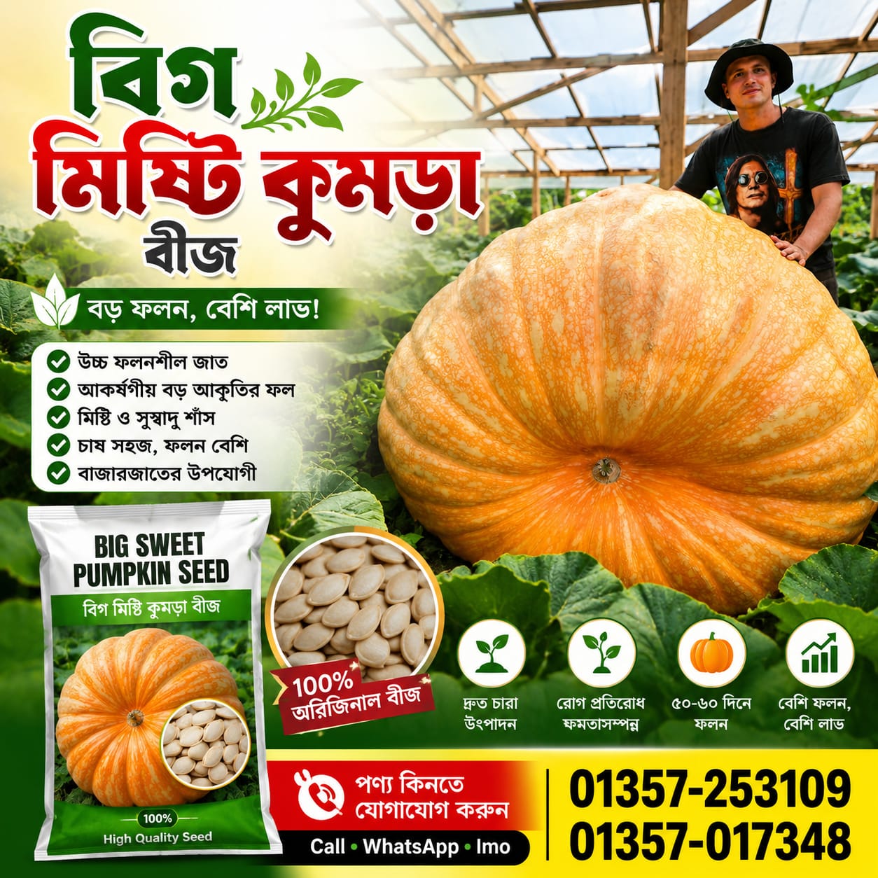 🎃 বিগ মিষ্টি কুমড়া বীজ 1 প্যাকেট 490 Tk