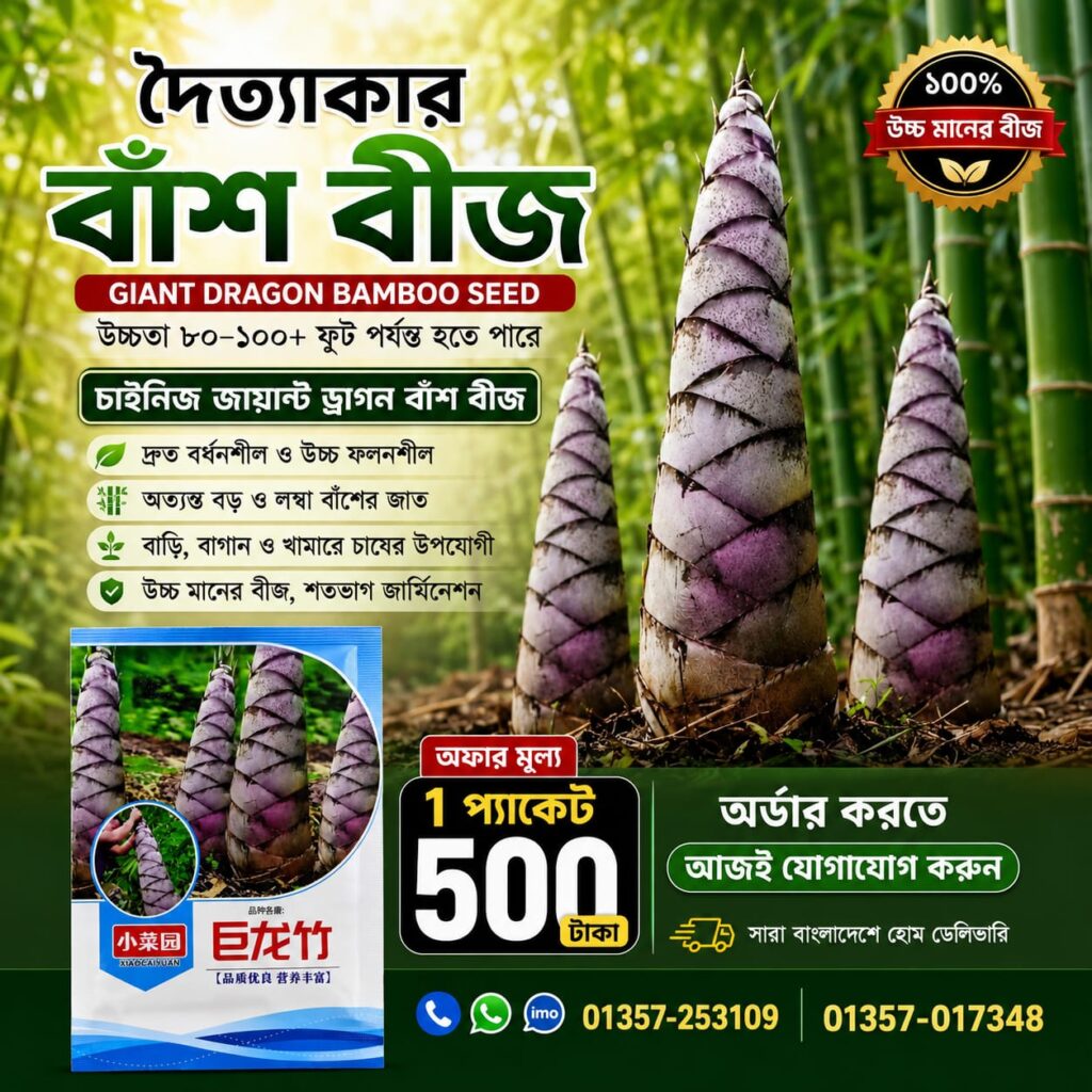 🎋 দৈত্যাকার বাঁশ বীজ 1 প্যাকেট - 500 টাকা