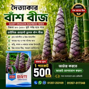 🎋 দৈত্যাকার বাঁশ বীজ   1 প্যাকেট - 500 টাকা