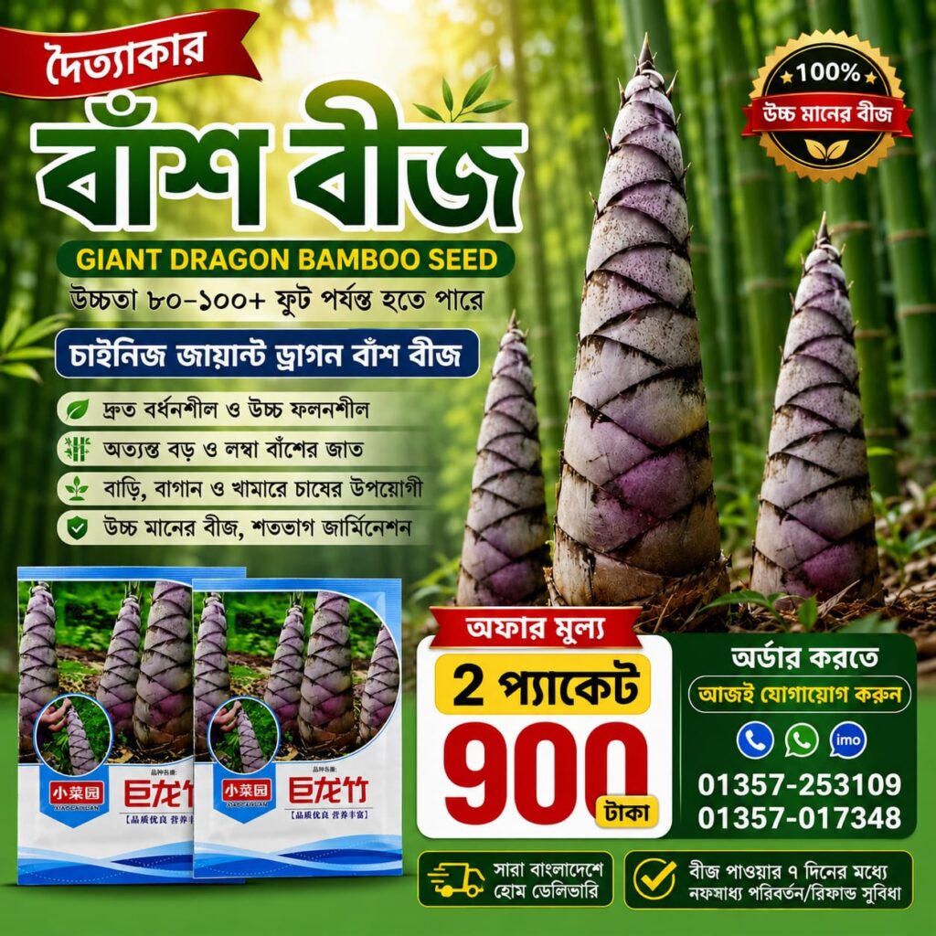 🎋 দৈত্যাকার বাঁশ বীজ 2 প্যাকেট - 900 টাকা