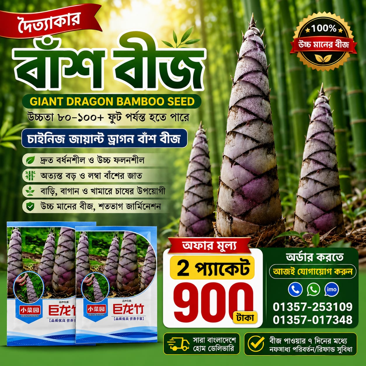 🎋 দৈত্যাকার বাঁশ বীজ 2 প্যাকেট - 900 টাকা