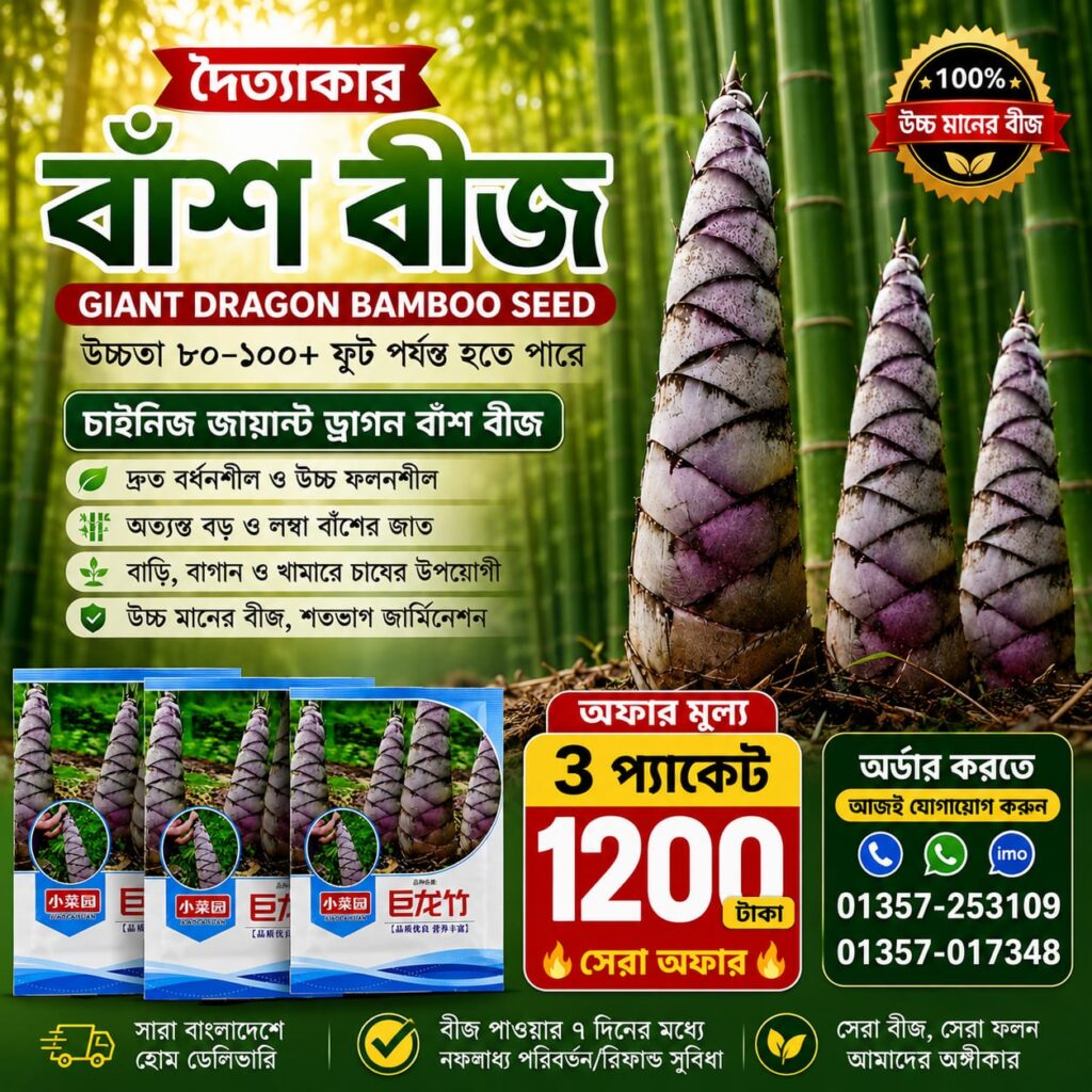 🎋 দৈত্যাকার বাঁশ বীজ 3 প্যাকেট - 1200 টাকা