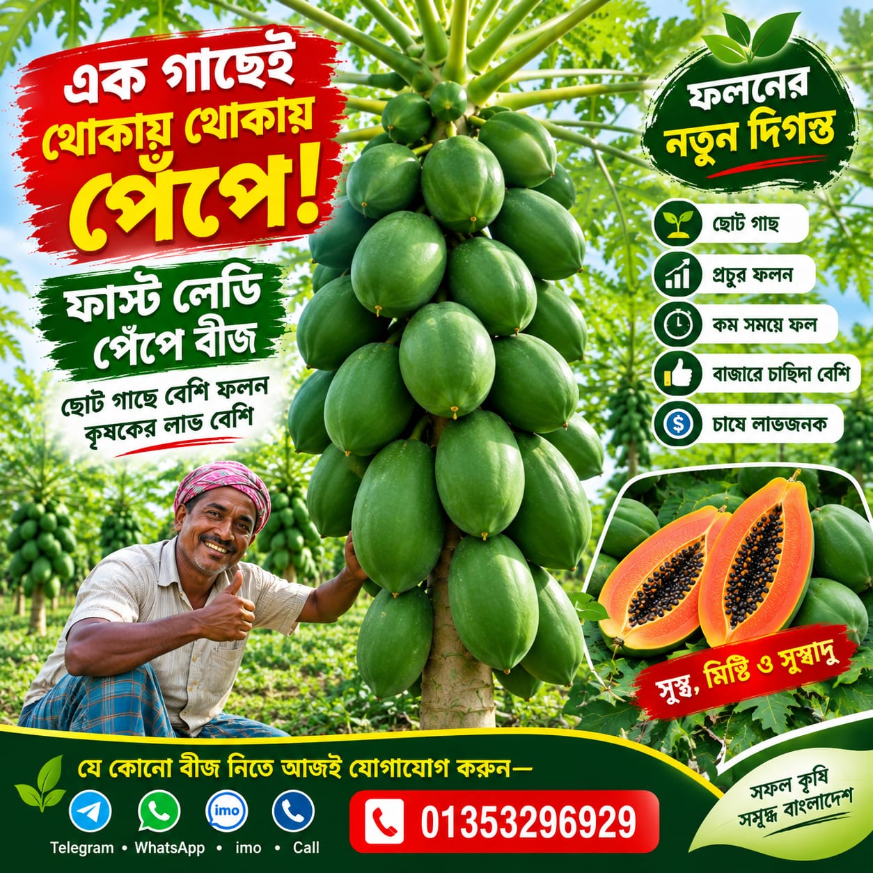 2 প্যাকেট ফাস্ট লেডি পেঁপে